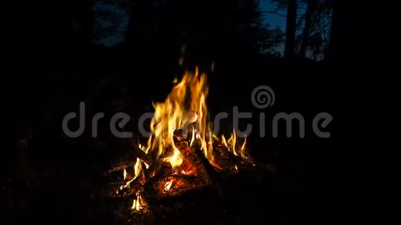 壁炉里有火室外用木头和腿烧火露营时在夜间森林里的篝火视频的预览图