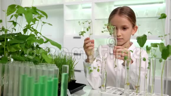 化学实验室儿童种植学校科学实验教育视频的预览图