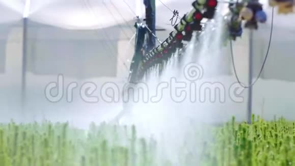 种植园浇水设备农用工业自动浇水视频的预览图