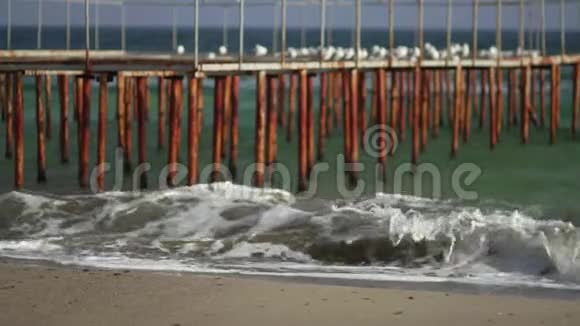海上铁墩上海鸥视频的预览图