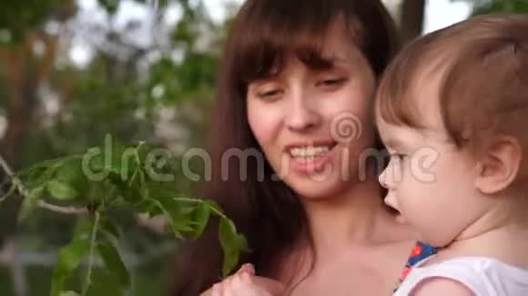 妈妈在树枝上给小孩子看一片绿叶小女孩在和她妈妈玩视频的预览图