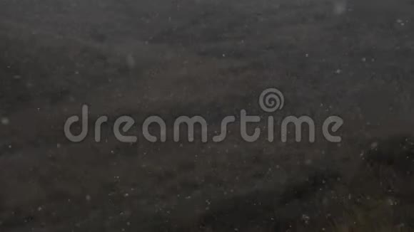 秋山背景下第一场雪的慢镜头画面视频的预览图