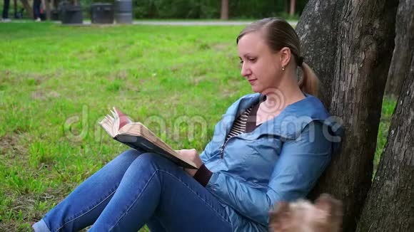 迷人的女人在公园里一棵树上看书一只可爱的狗跑向她慢悠悠视频的预览图