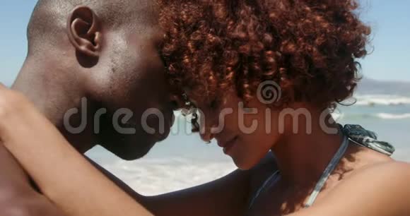 在阳光明媚的海滩上情侣们互相拥抱视频的预览图