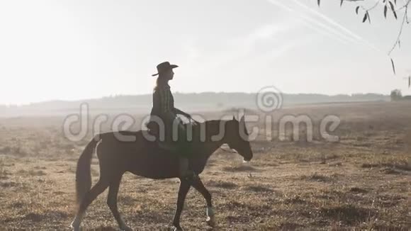 在户外慢动作的棕马小牛仔美丽的女人骑马视频的预览图