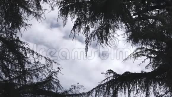 多云的冬季意大利天空视频的预览图
