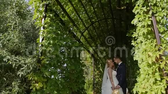 高清特写镜头新婚夫妇站在绿色的弧线中注视着对方眼睛视频的预览图