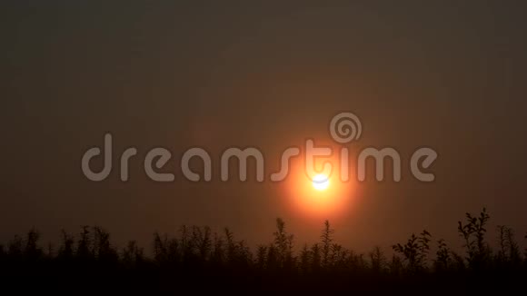 美丽的日落景色从田野视频的预览图