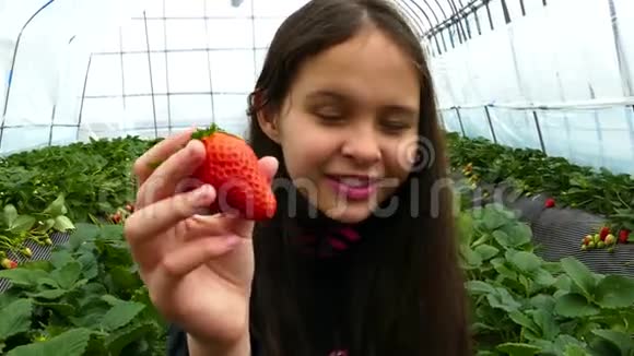 双胞胎抱着草莓视频的预览图