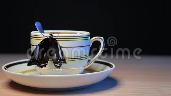 蝴蝶茶杯木桌暗背景高清镜头视频的预览图