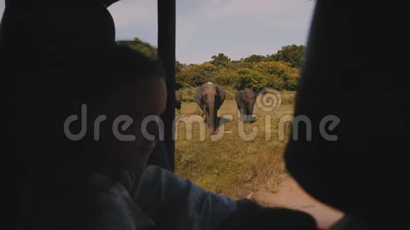 快乐的小旅游女孩从里面观看大象家人的狩猎车享受国家公园的远足之旅视频的预览图