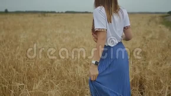 傍晚一位年轻的红发女子走在麦田上成熟小麦的金田慢动作视频的预览图