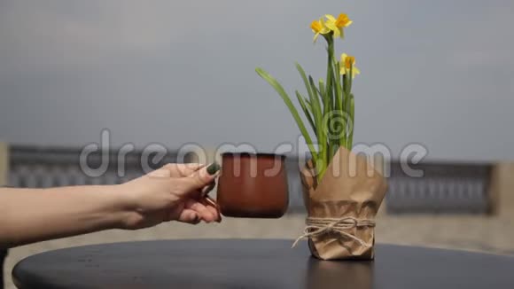 在一家开放的咖啡馆里桌上放着一束水仙花的早咖啡人们传递模糊的背景视频的预览图
