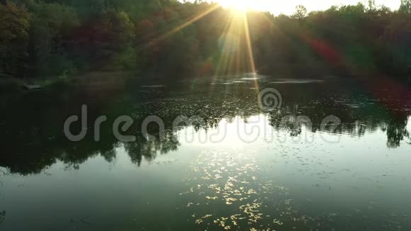 日落于森林湖之上视频的预览图