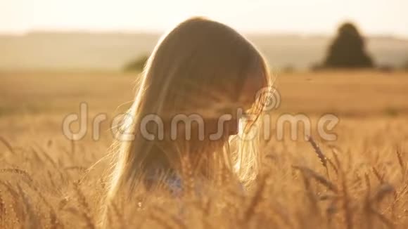 美丽的小女孩在户外享受自然麦田美丽的女孩在日落时在秋天的田野上玩耍双手视频的预览图