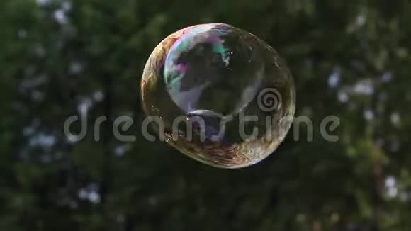 公园里的彩虹肥皂泡视频的预览图