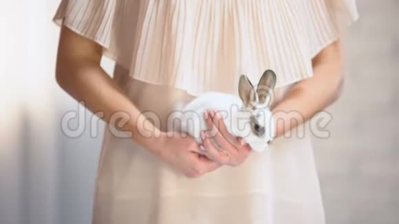 女人手里拿着可爱的白兔带着动物躲避社会节目视频的预览图