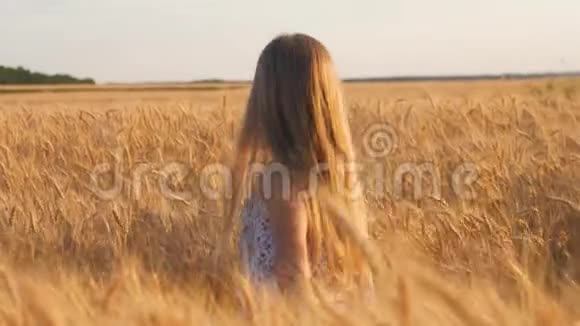 美丽的小女孩在户外享受自然麦田美丽的女孩在日落时在秋天的田野上玩耍双手视频的预览图