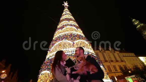 一对相爱的夫妇抱着可爱的狗亲吻圣诞树在背景上新年快乐的概念视频的预览图