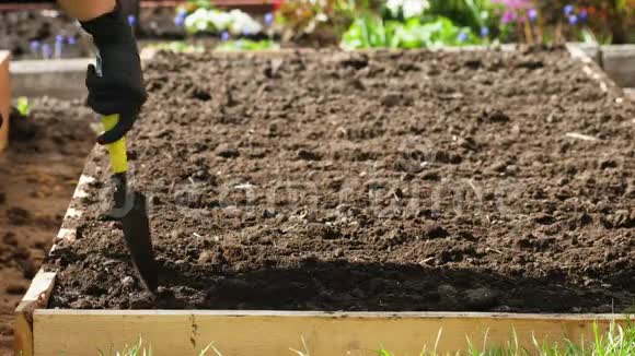 园丁在种植前准备土壤视频的预览图