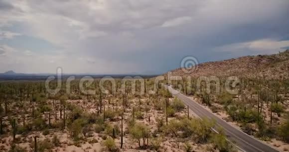 无人机在沙漠公路上低飞静止的汽车在亚利桑那州国家公园美国惊人的仙人掌田中央视频的预览图