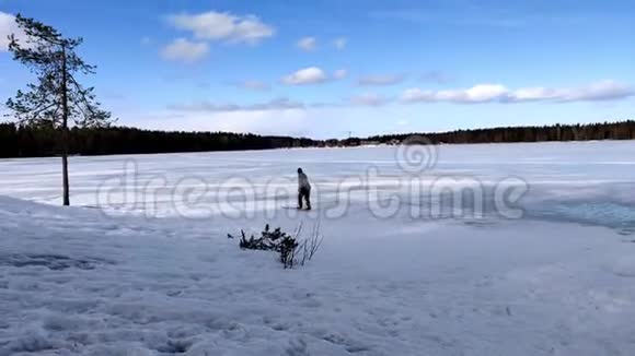 一个女人在蓝天白云下的冰冻湖里滑雪视频的预览图