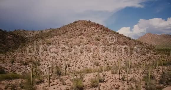 在阳光明媚的亚利桑那州国家公园保护区从沙漠山和空路岔口向后飞行的无人机在巨大的仙人掌田里飞行视频的预览图