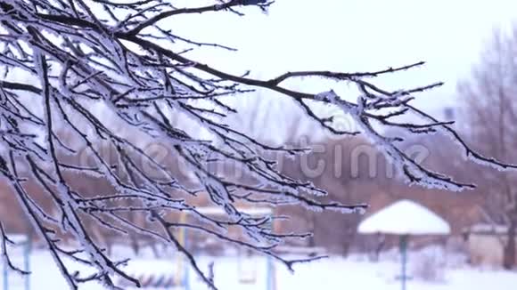 在操场的背景下冬天树枝上覆盖着雪视频的预览图