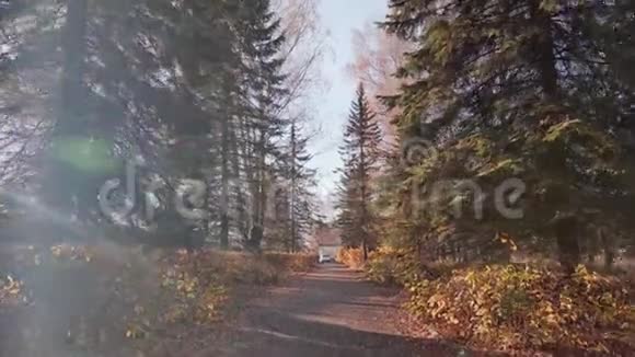 秋天的一个小公园摄像机穿过公园秋天的树叶视频的预览图