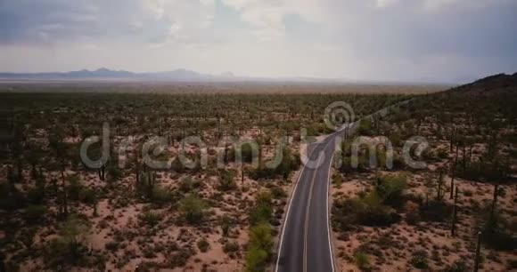 在美国国家公园的大型大气仙人掌田背景下无人机在风景优美的蜿蜒沙漠道路上滑行视频的预览图