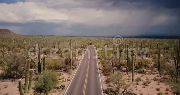无人机飞在美丽的空沙漠道路上在大萨瓜罗仙人掌领域亚利桑那州国家公园暴风雨沙漠美国视频的预览图