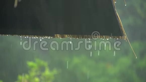 白天岛上热带大雨视频的预览图