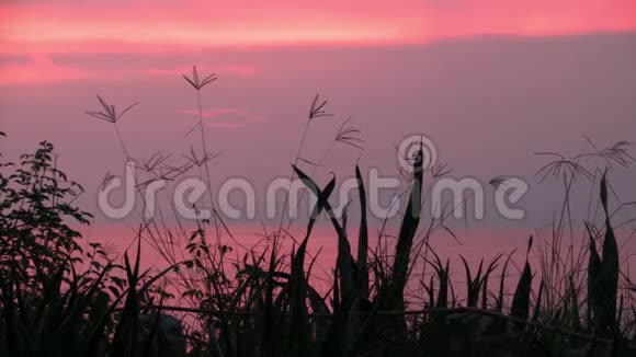 乌干达艾伯特湖浪漫的粉色日落视频的预览图