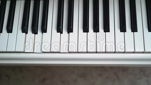 自动播放钢琴键键盘视频的预览图