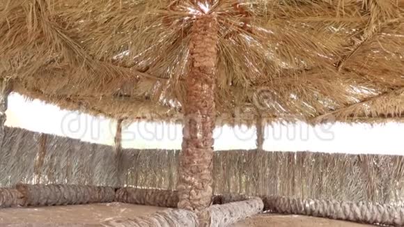 棕榈树在海滩上留下雨伞视频的预览图
