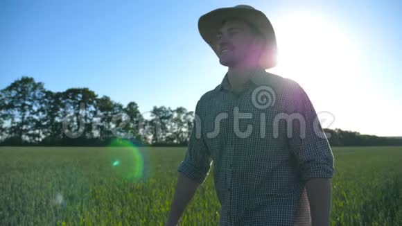 快乐的男农戴着帽子走过绿色的麦田享受大自然去谷物种植园的年轻人视频的预览图