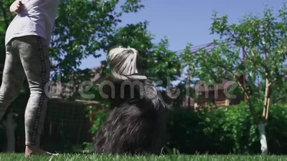 女孩在院子里玩她的狗视频的预览图