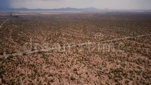雄蜂在美国亚利桑那州国家公园公路上的仙人掌沙漠风景和汽车正上方的高空盘旋视频的预览图