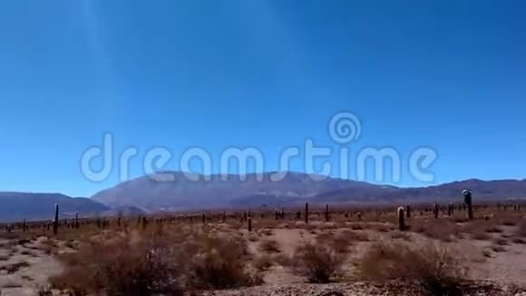 沙漠地区仙人掌森林和山脉视频的预览图