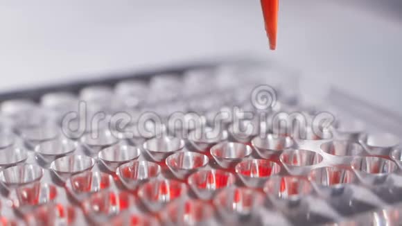 研究人员在井微板中取样血液或DNA的医学测试视频的预览图