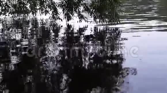 夏天湖面上的涟漪背景自然视频的预览图