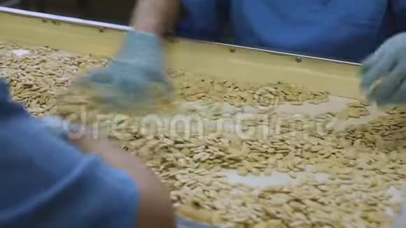 烤南瓜籽的生产工人们把葵花籽从泥土和谷壳中分类视频的预览图