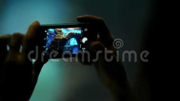 女手剪影手握手机拍摄玻璃管后面的鱼在水水族馆动物园和海洋馆视频的预览图
