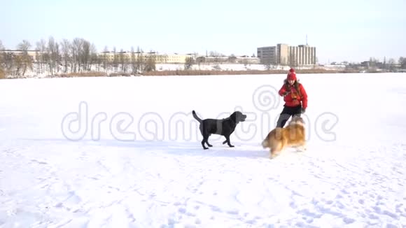 冬天雪场上玩狗的女孩视频的预览图