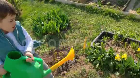 在一个阳光明媚的日子里一个男孩正从花园里给一个小花园浇水3这个孩子很高兴也很微笑视频的预览图