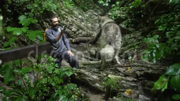 博客旅行者在山上的绿色森林里用动作摄像机拍摄他狗的视频视频的预览图