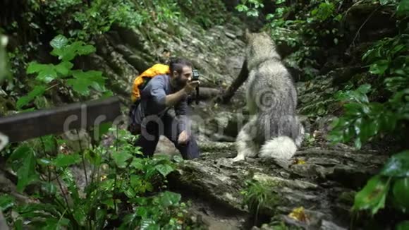 博客旅行者在山上的绿色热带森林里用动作摄像机拍摄他狗的视频视频的预览图