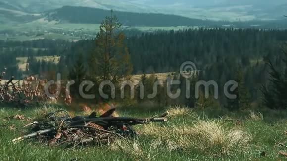 露营壁炉与燃烧的木桩旅游篝火视频的预览图