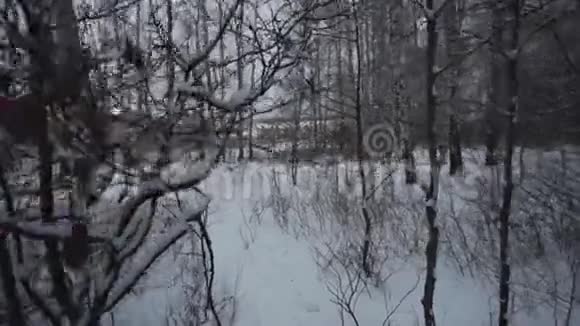冬天的森林很多雪POV第一个人的视频离开森林视频的预览图