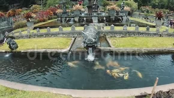 旅游景点带金鱼的喷泉视频的预览图